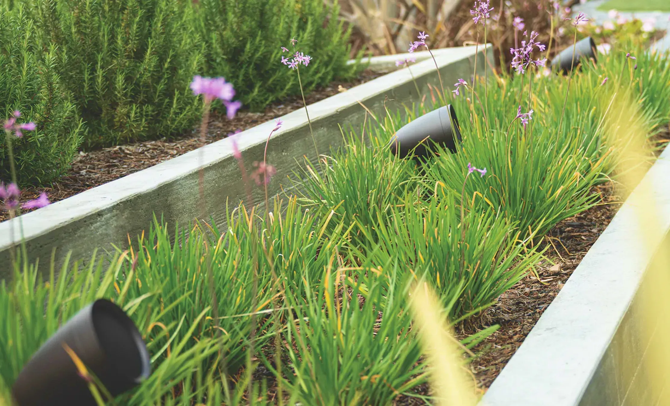 Landscape Audio System Installation: What You Need to Know